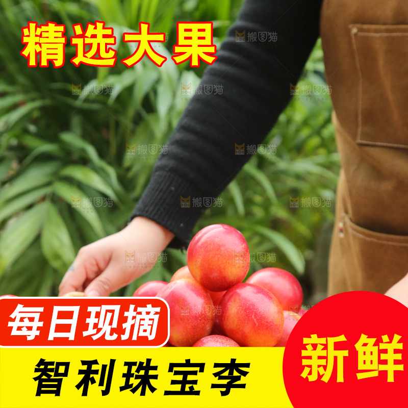 木底上的珠宝李