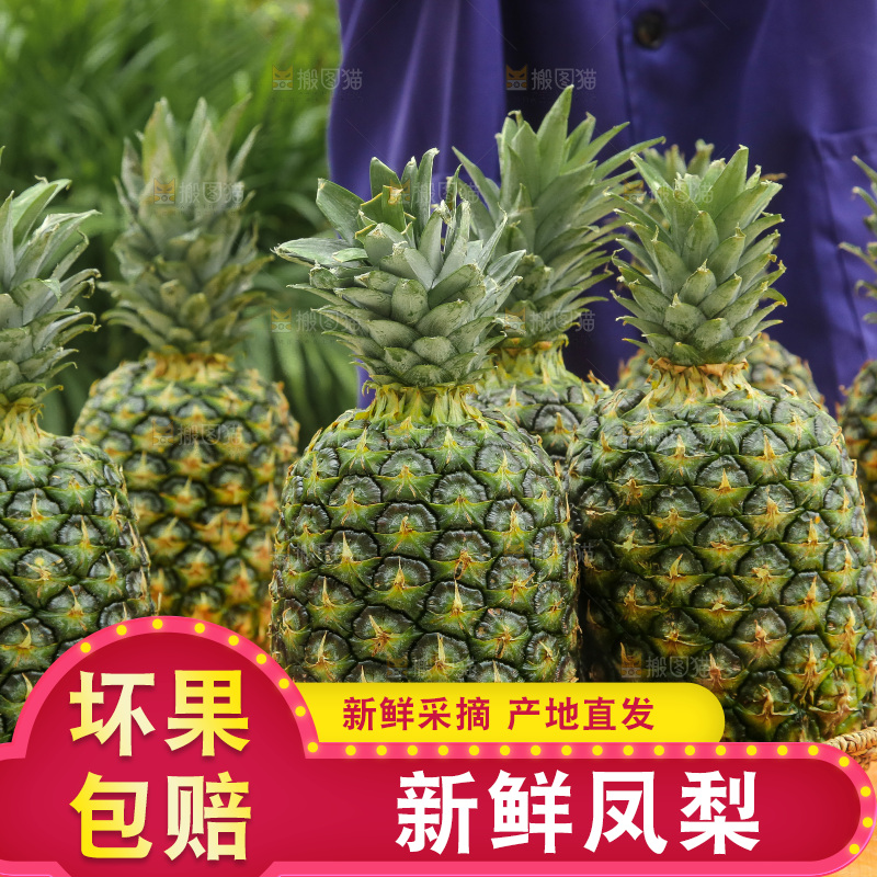 深底上的新鲜凤梨
