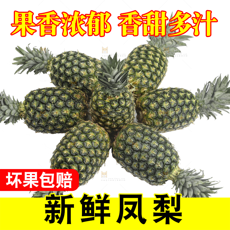 白底上的新鲜凤梨