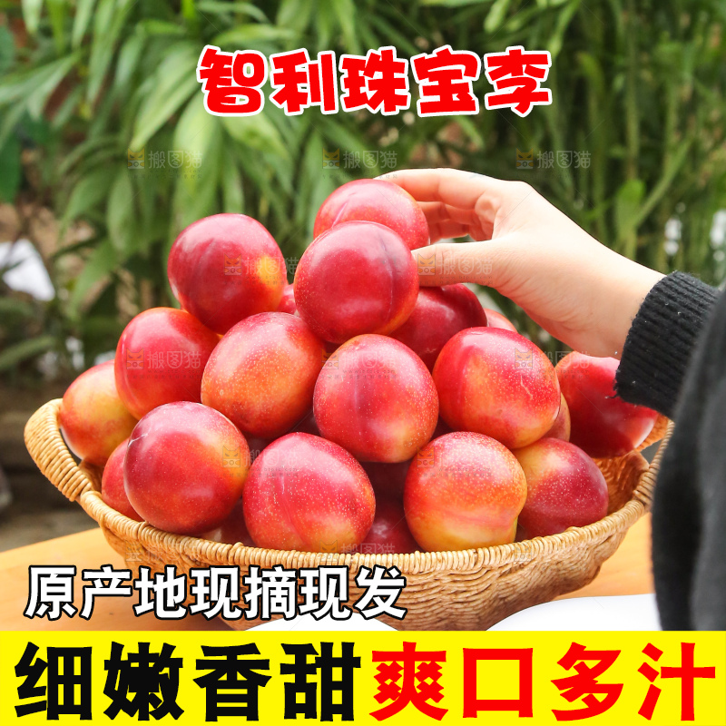 木底上的珠宝李