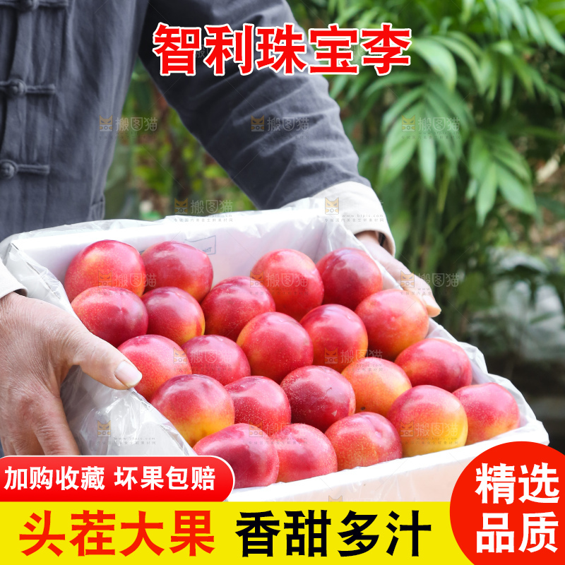 木底上的珠宝李