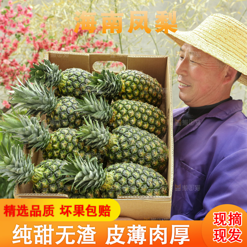手里拿着新鲜凤梨