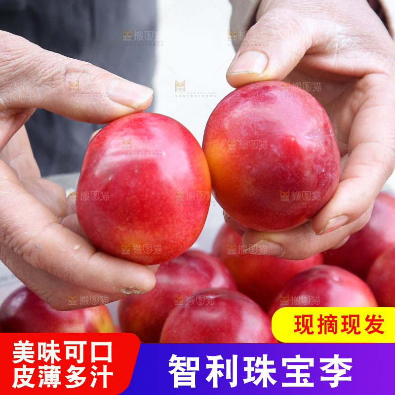 木底上的珠宝李