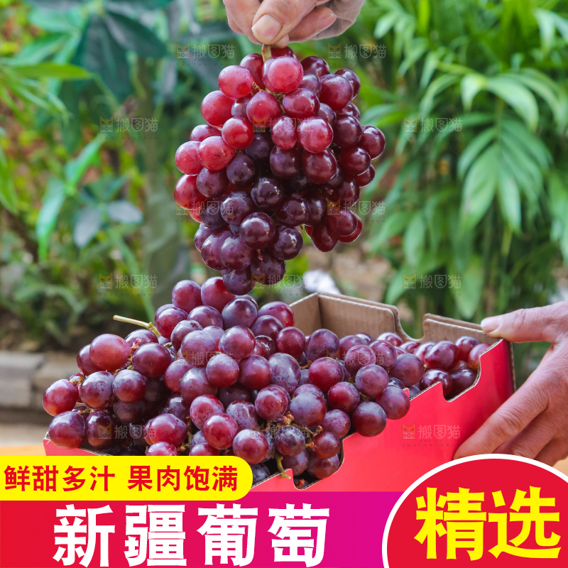 手里拿着新鲜葡萄