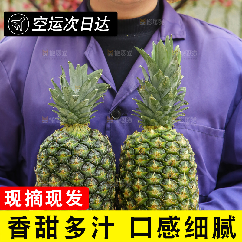 手里拿着新鲜凤梨