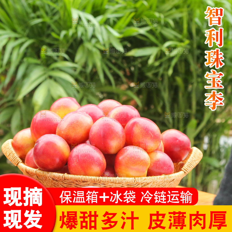木底上的珠宝李