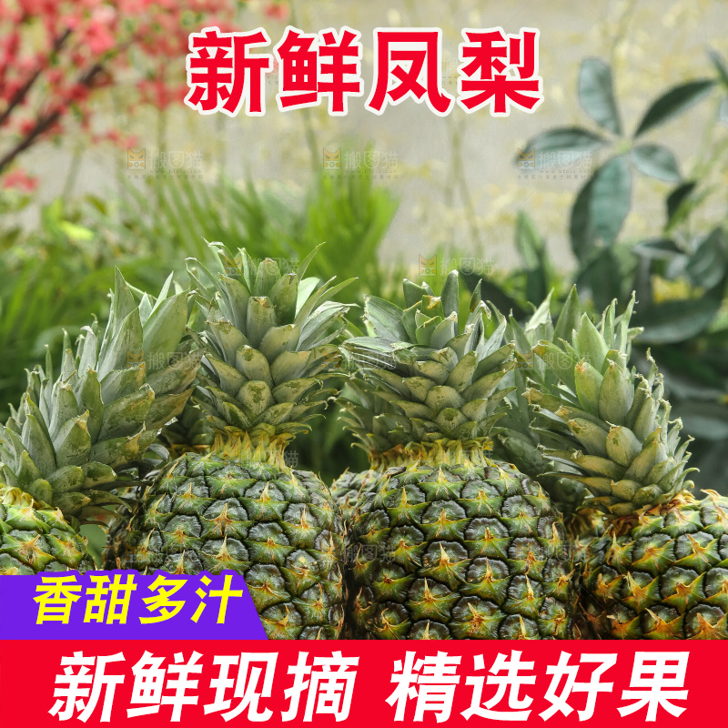 手里拿着新鲜凤梨
