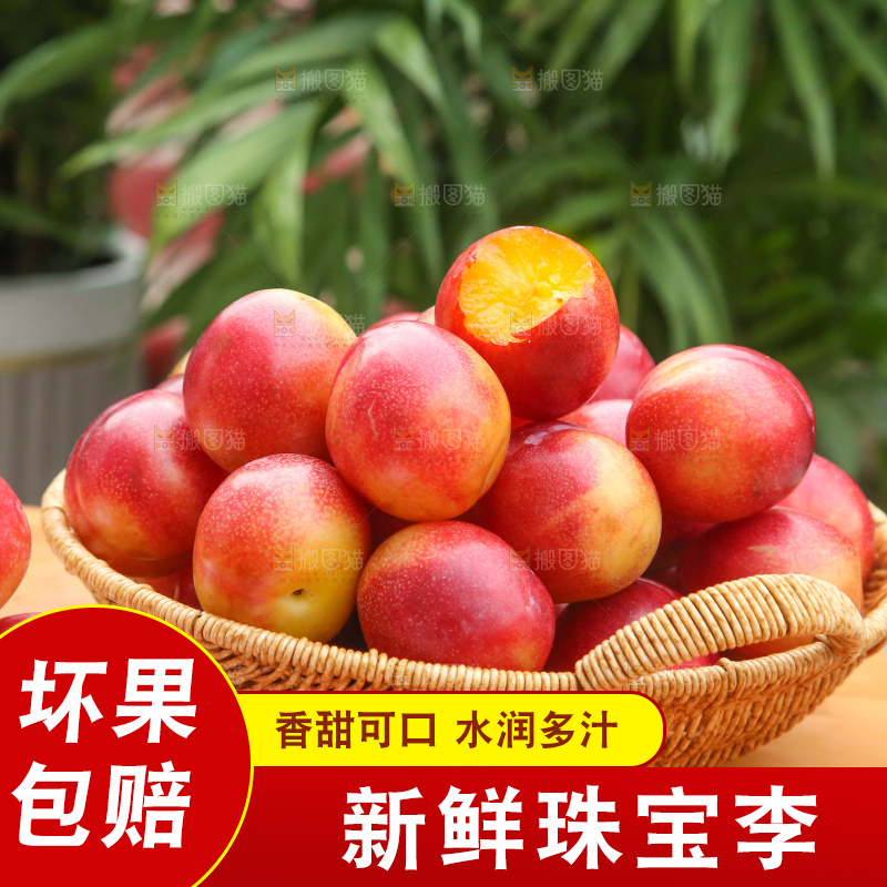 木底上的珠宝李
