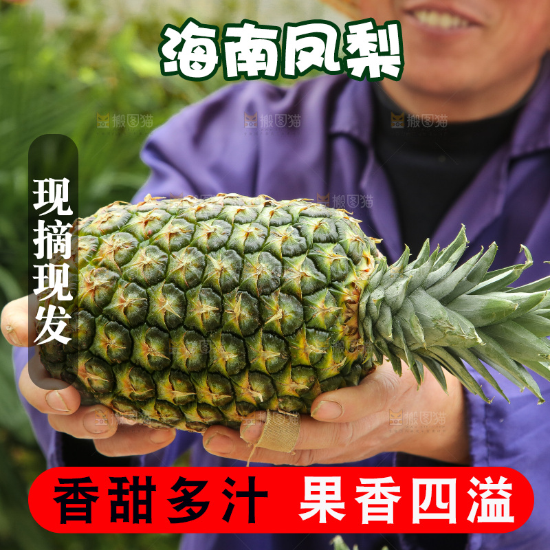 手里拿着新鲜凤梨