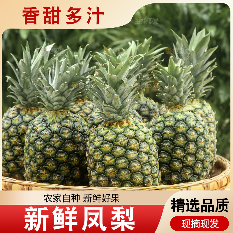 深底上的新鲜凤梨