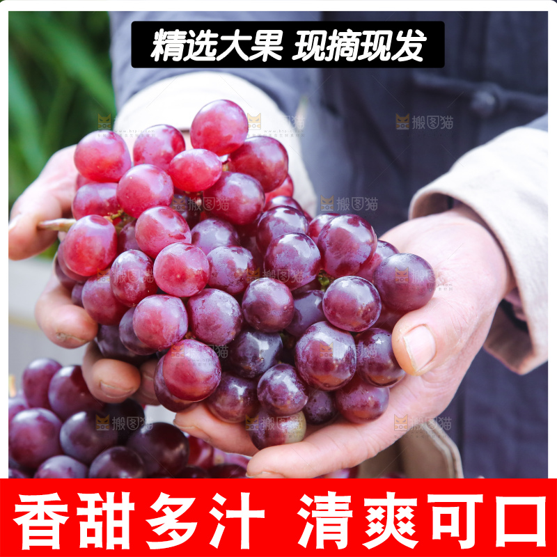 手里拿着新鲜葡萄