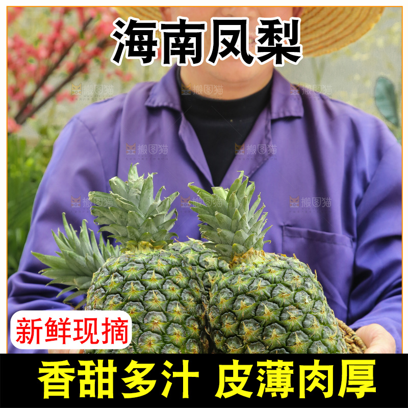 手里拿着新鲜凤梨