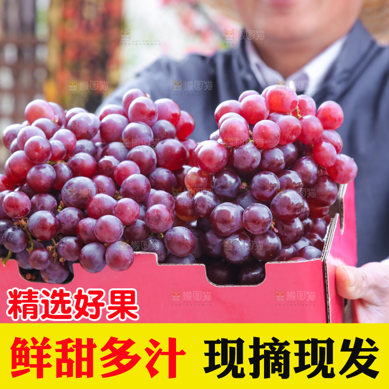 手里拿着新鲜葡萄