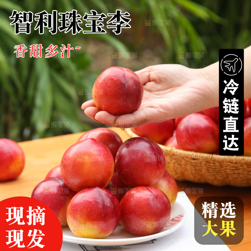木底上的珠宝李