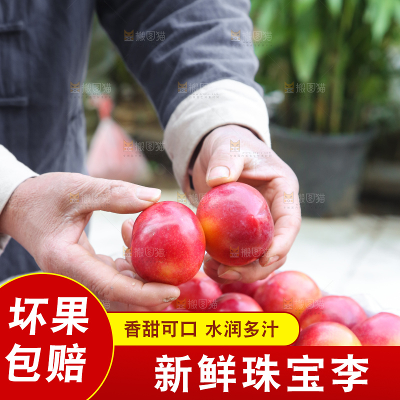木底上的珠宝李
