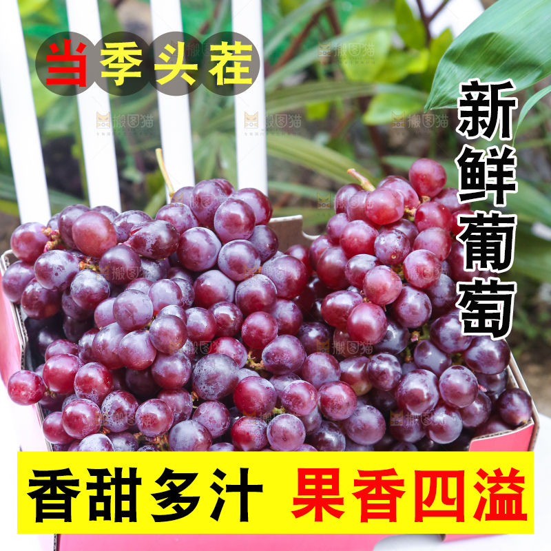 手里拿着新鲜葡萄