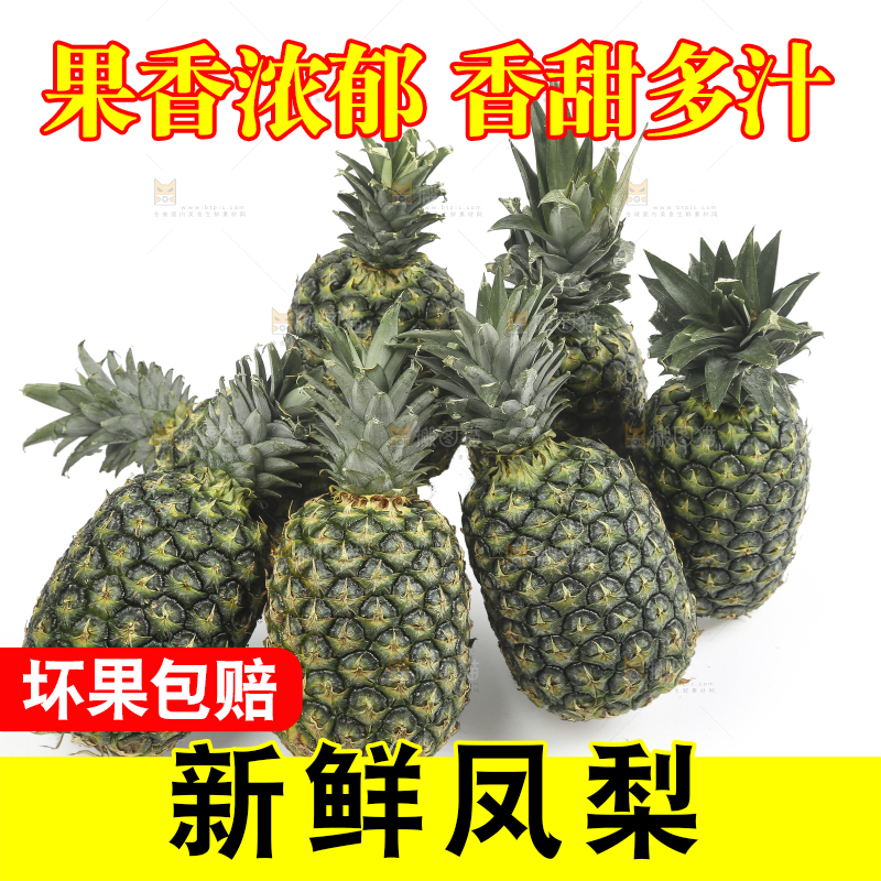 白底上的新鲜凤梨