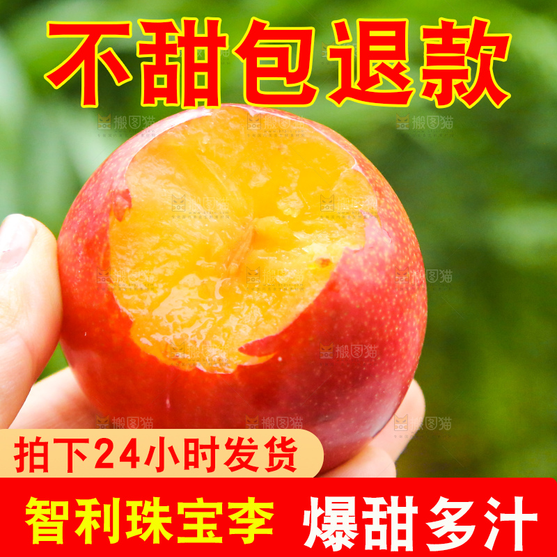 手里拿着珠宝李