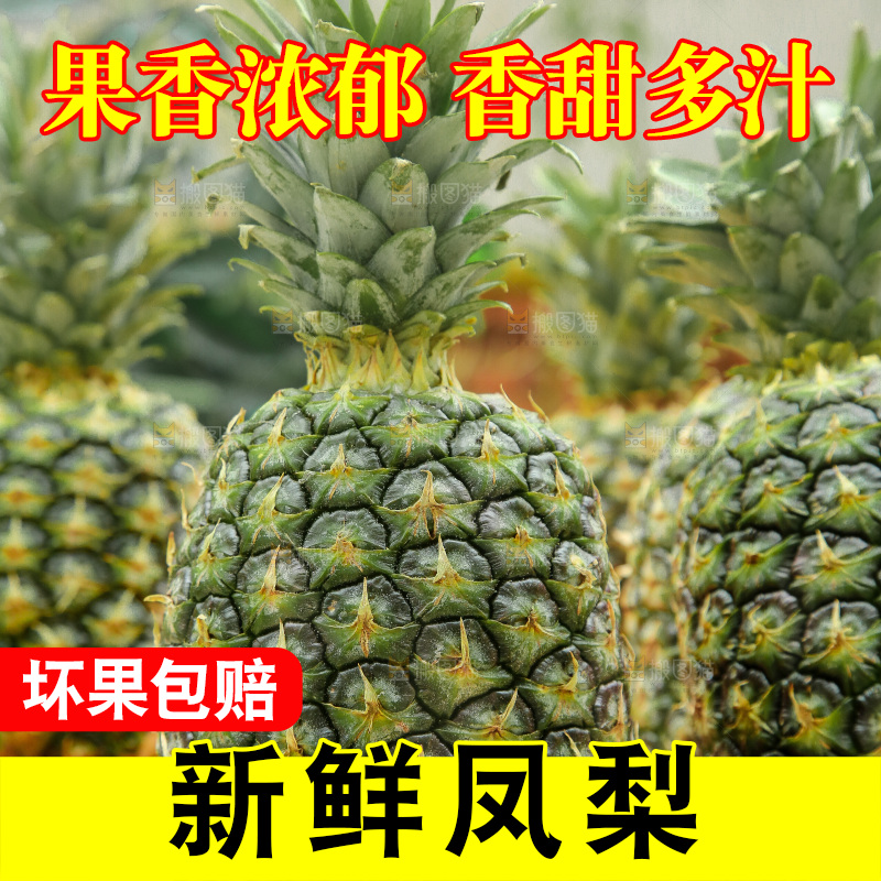 深底上的新鲜凤梨