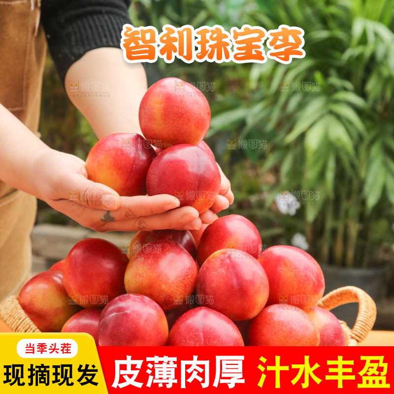 木底上的珠宝李