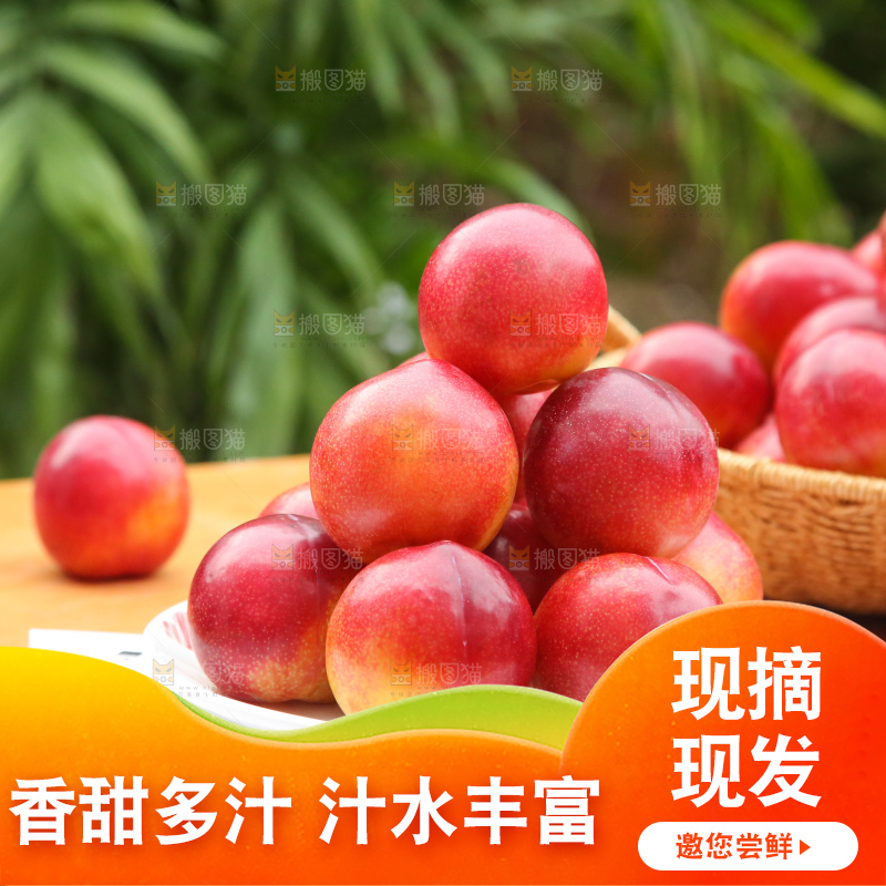 木底上的珠宝李