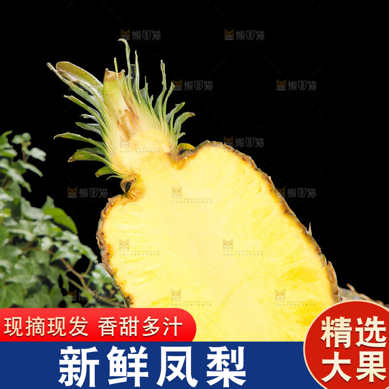 深底上的新鲜凤梨