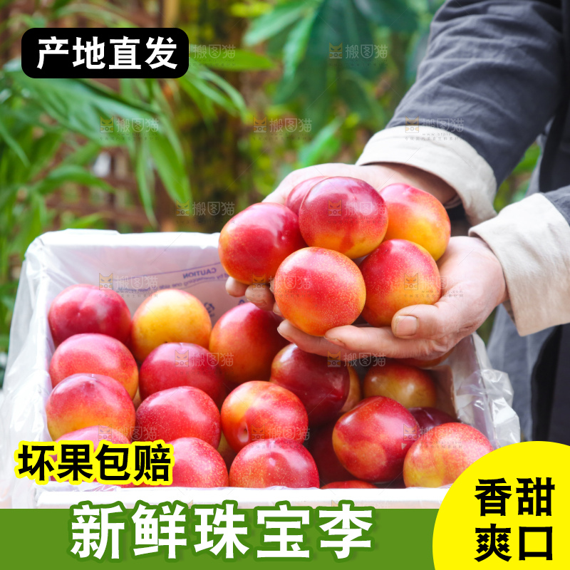 木底上的珠宝李