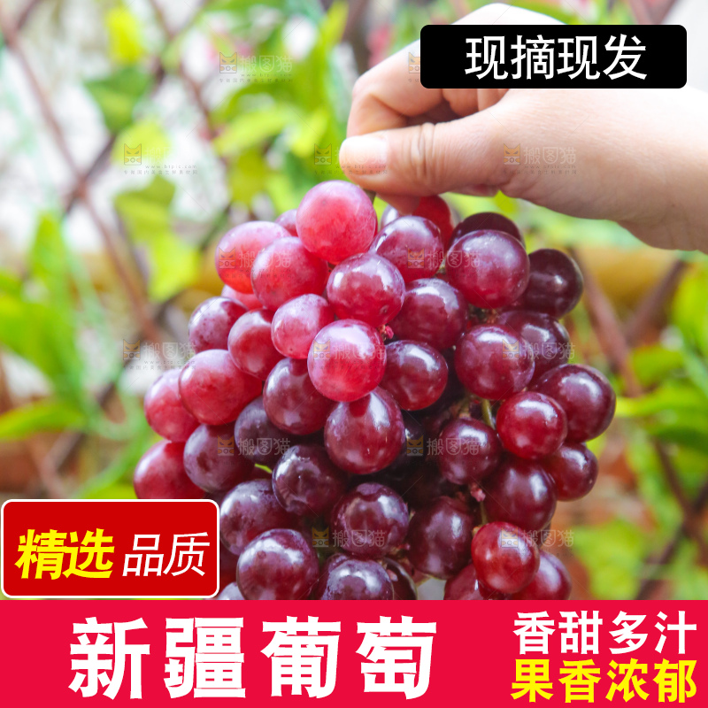 手里拿着新鲜葡萄