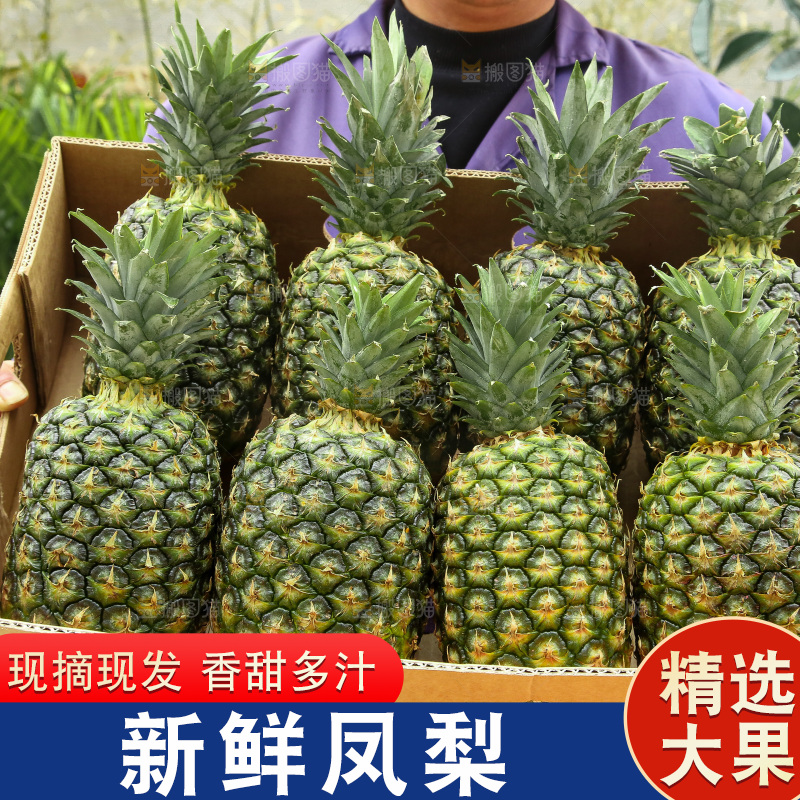 手里拿着新鲜凤梨