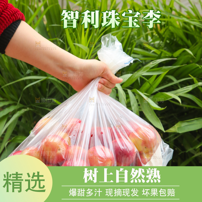 手里拿着珠宝李