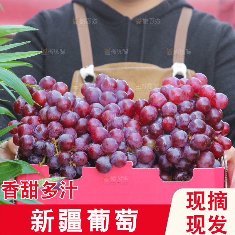 手里拿着新鲜葡萄