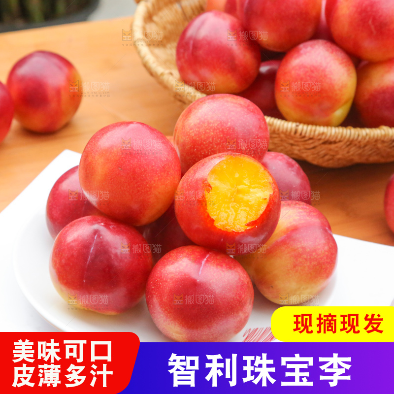 木底上的珠宝李