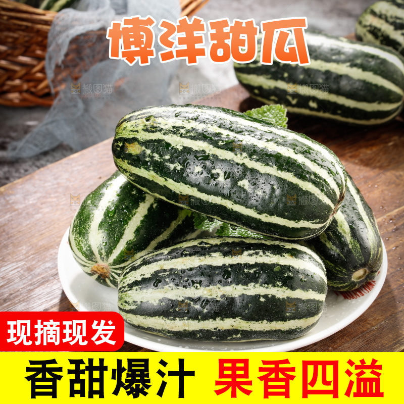 木底上的博洋9号