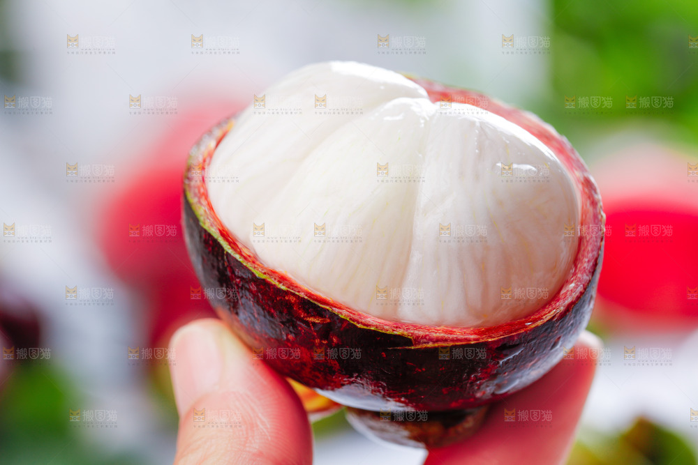 浅底上的泰国山竹