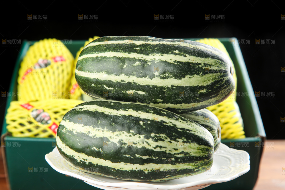 木底上的博洋9号