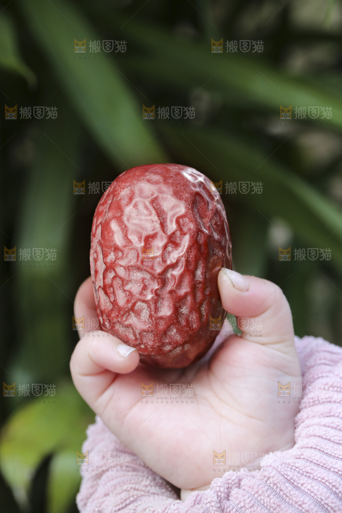 手里拿着灰枣
