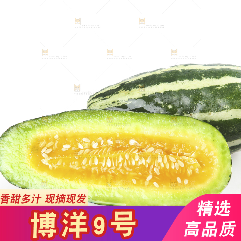 白底上的博洋9号