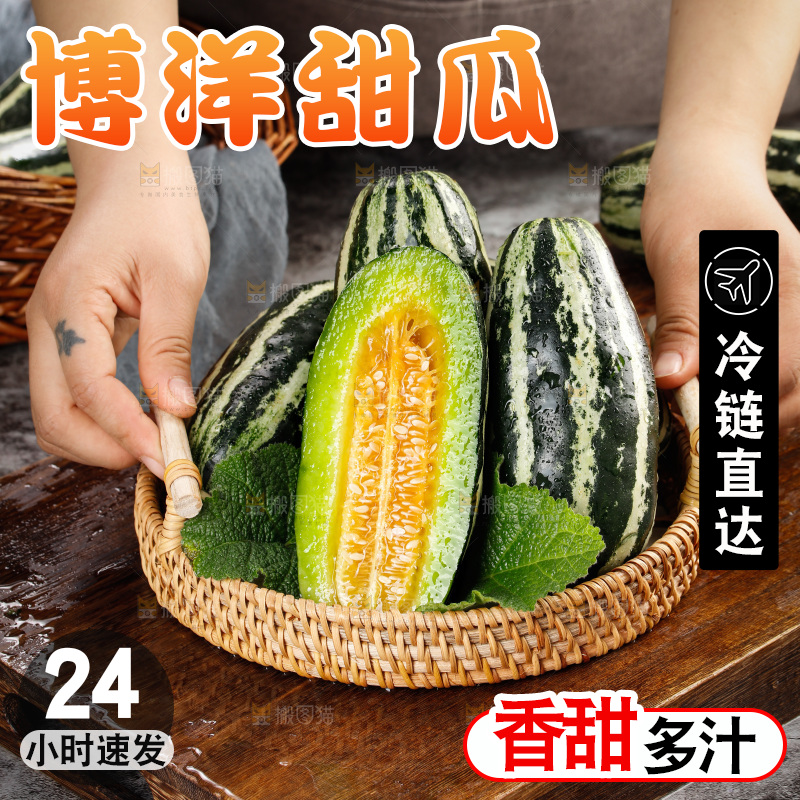 木底上的博洋9号