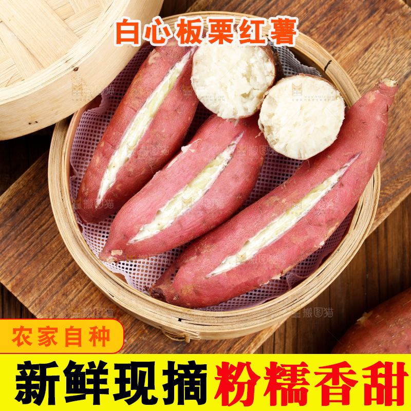 木底上的白心板栗薯