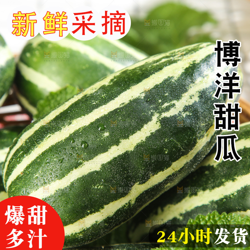 浅底上的博洋9号