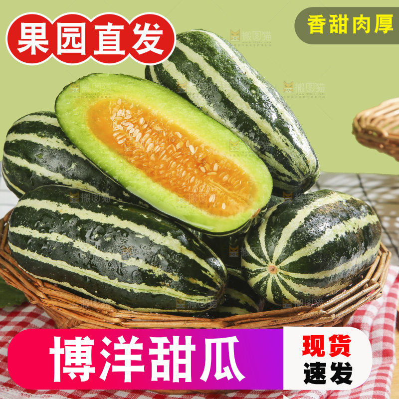 浅底上的博洋9号
