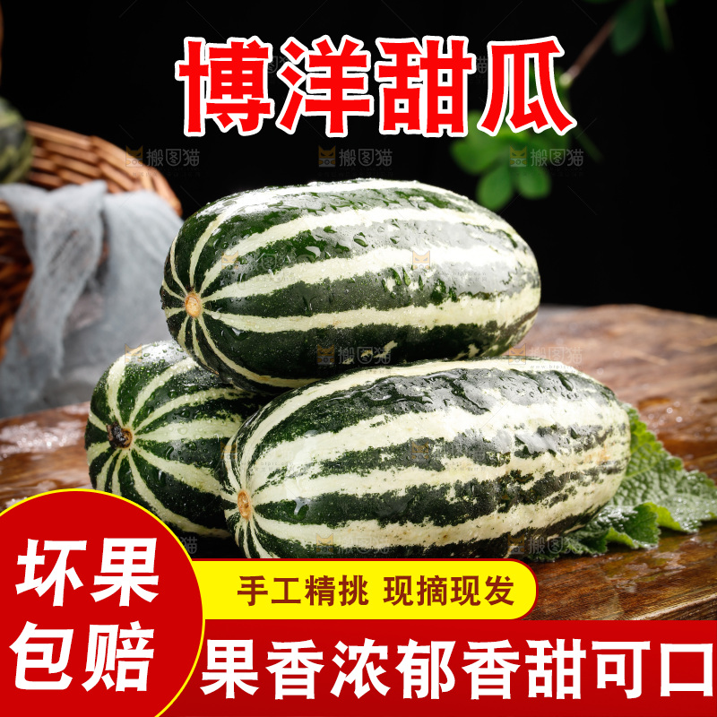 木底上的博洋9号