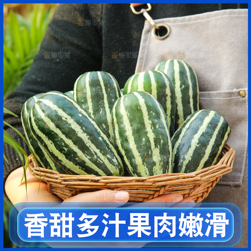 手里拿着博洋9号