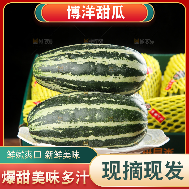 木底上的博洋9号