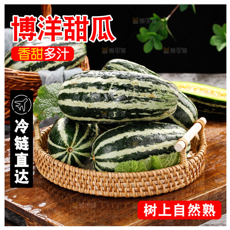 木底上的博洋9号