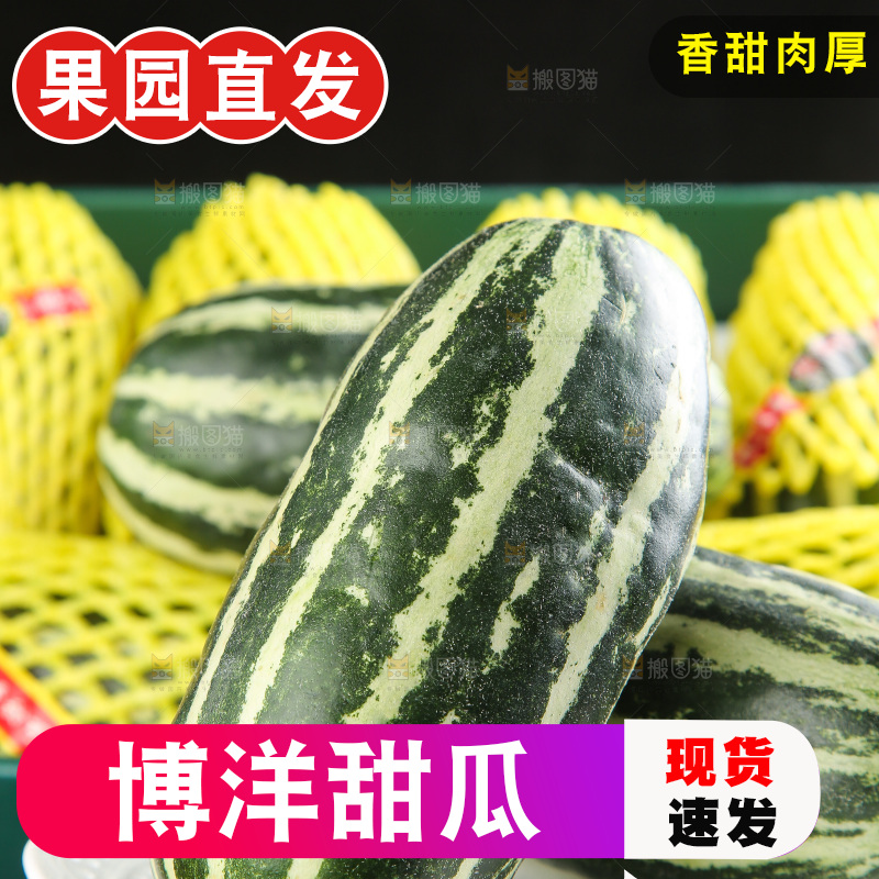 木底上的博洋9号