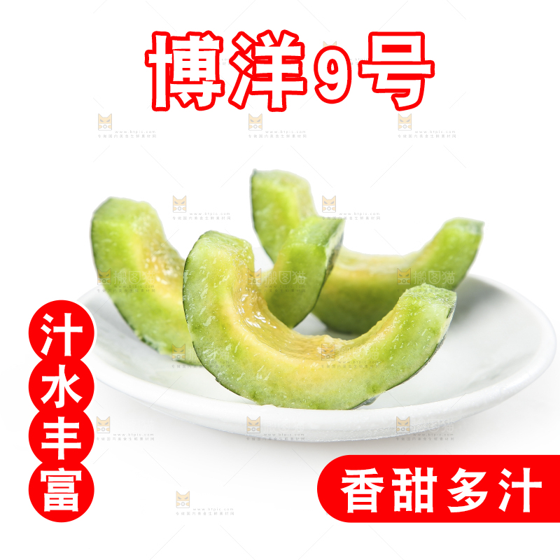 白底上的博洋9号