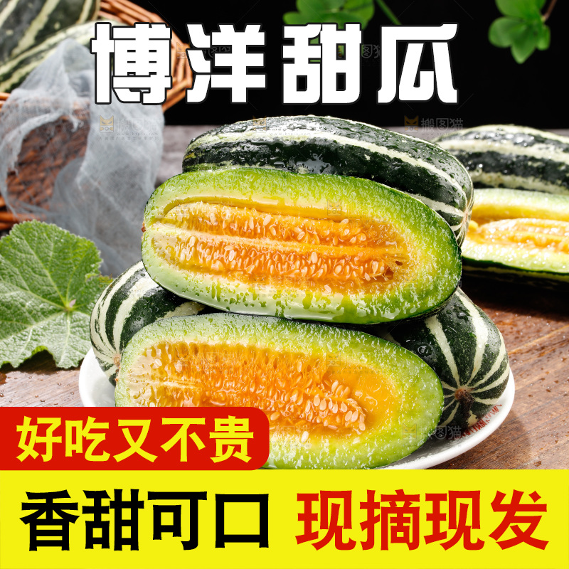 木底上的博洋9号