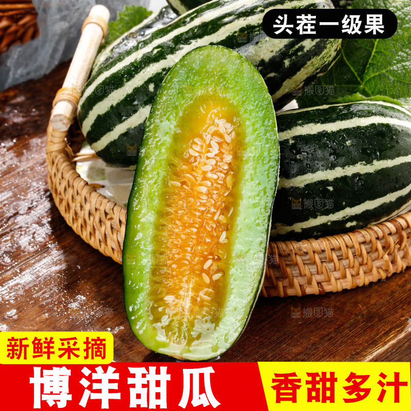 木底上的博洋9号