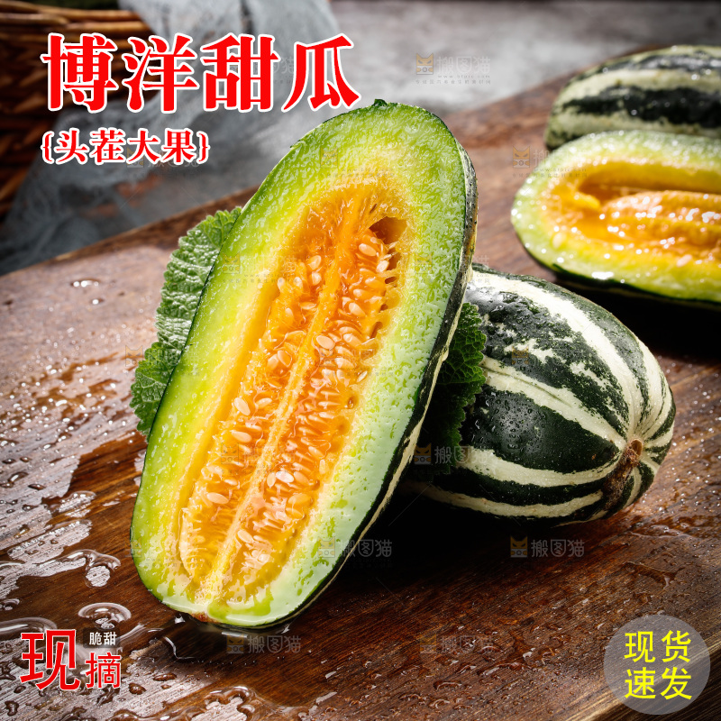 木底上的博洋9号
